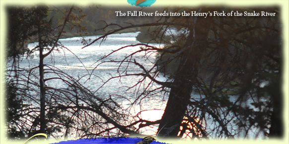 The Fall River feeds into the Henrys Fork of the Snake River