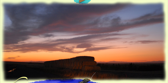 A blue-ribbon ID sunset
