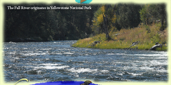 The Fall River originates as a stream in Yellowstone National Park